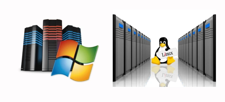 Hosting window và hosting linux