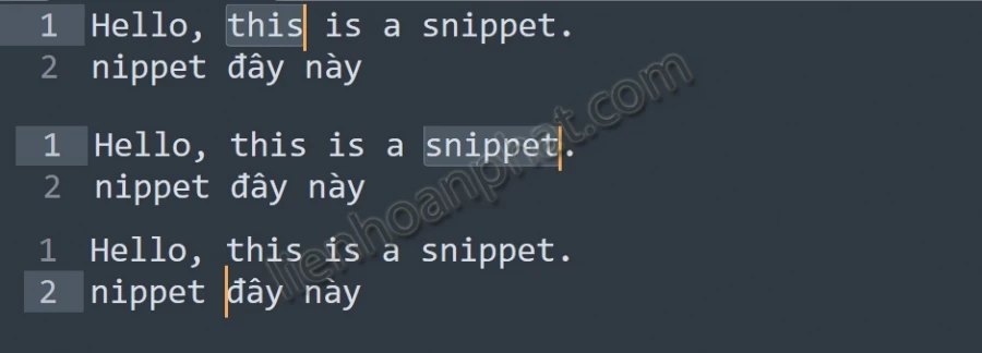 snippet và trỏ chuột