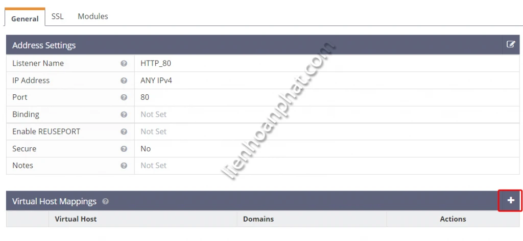 them tên miền vào OpenLiteSpeed