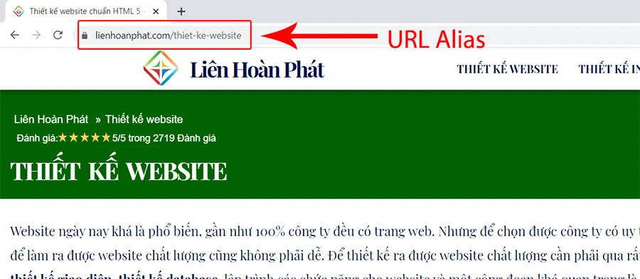 bảo mật website url alias